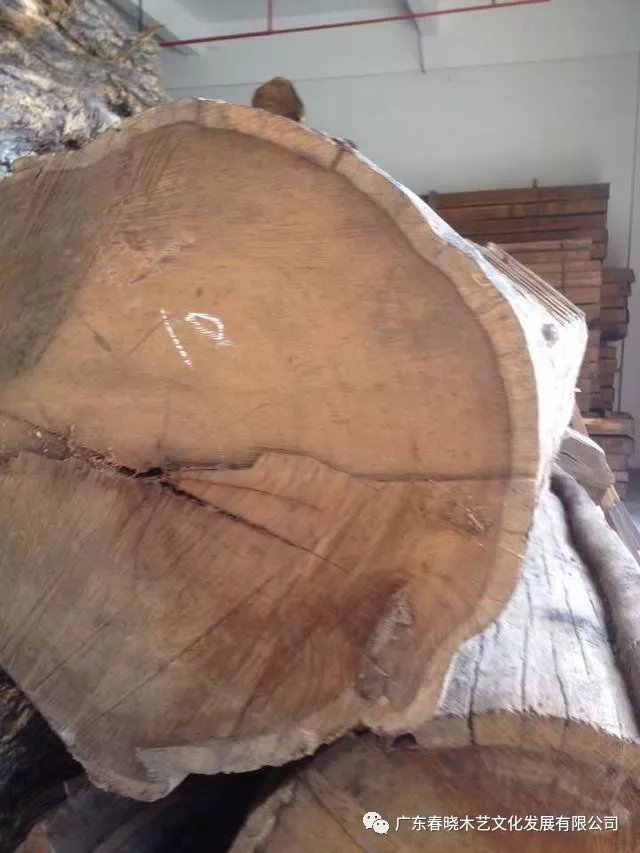 實(shí)木的價格，紅木的材質(zhì)，刺猬紫檀值得你擁有！(圖2)